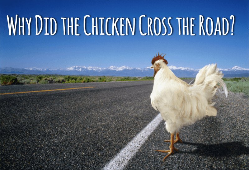Chicken road casino - Conoce la Ruta de los Pollos Online en España, el Juego de Casino
